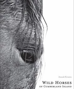 Harper Group Wild Horses Of Cumberland Island Decor